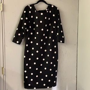 Worthington sz 16 polka dot dress